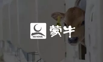 全球化布局下的产融结合
