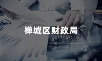 禅城区财政局：内控系统管理项目
